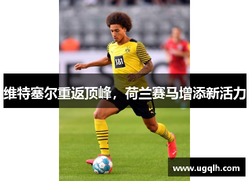 维特塞尔重返顶峰，荷兰赛马增添新活力